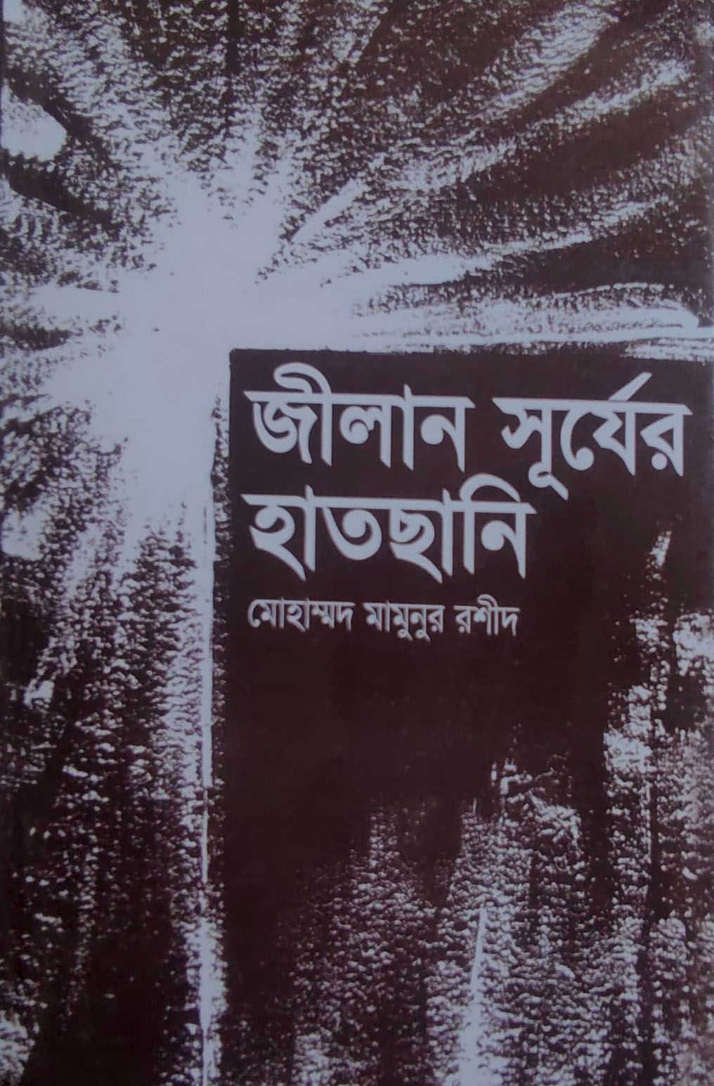 জীলান সূর্যের হাতছানি